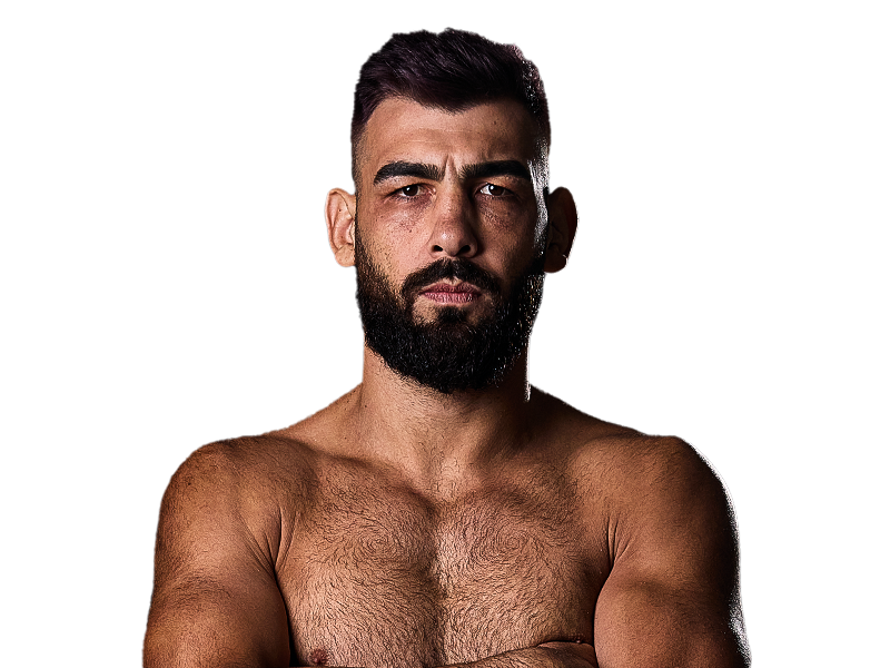 Fighter 6