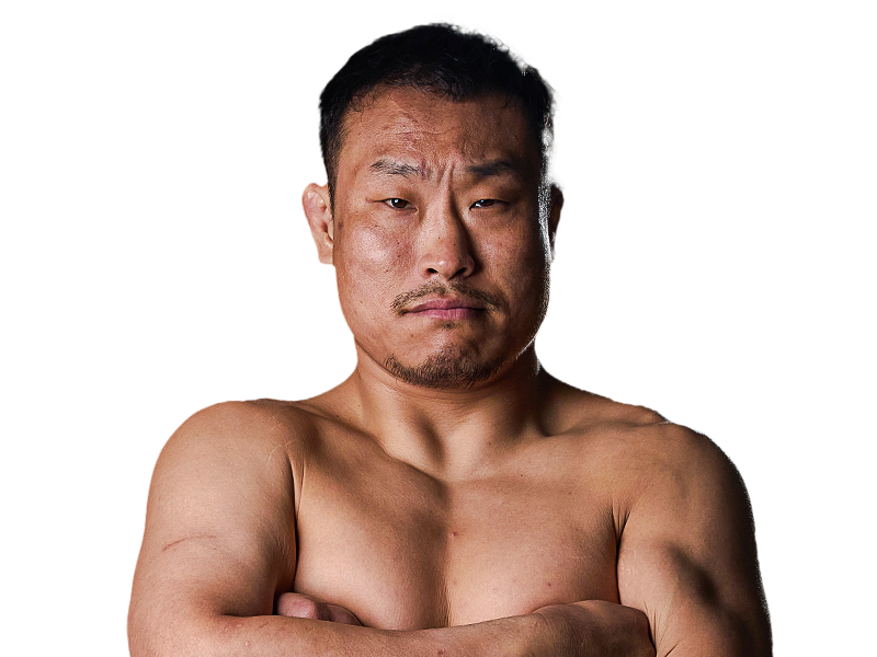 Fighter 8