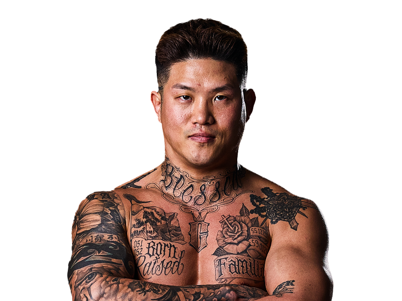 Fighter 5
