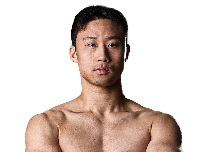 Fighter 8