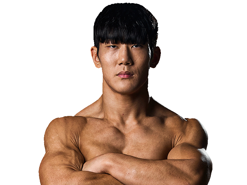 Fighter 8