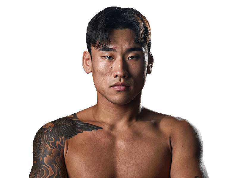 Fighter 9